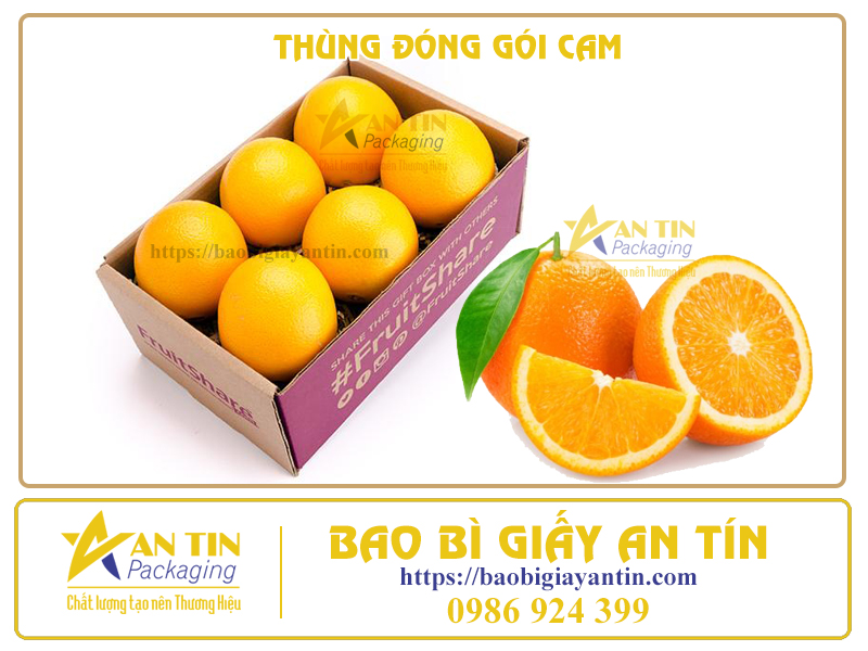 Thùng đóng gói cam xuất khẩu