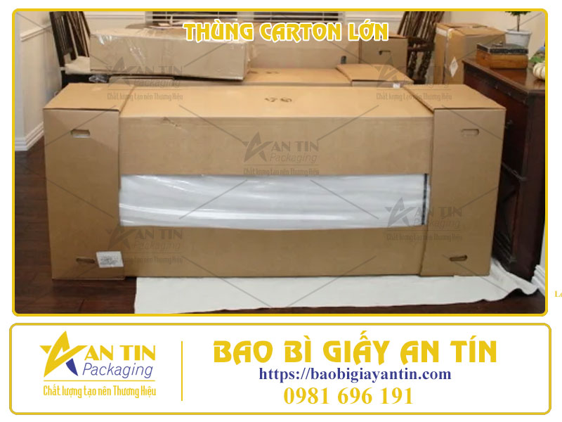 Tiết Kiệm Tối Đa Với Giá Thùng Carton Lớn Siêu Hấp Dẫn, Đừng Bỏ Lỡ