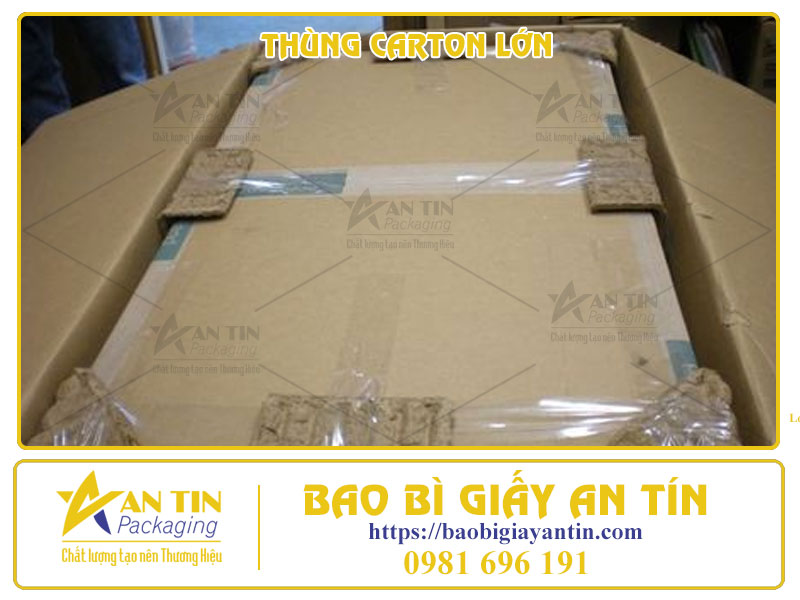Tiết Kiệm Tối Đa Với Giá Thùng Carton Lớn Siêu Hấp Dẫn, Đừng Bỏ Lỡ