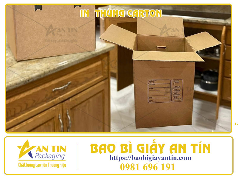 Tiết Kiệm Tối Đa Với Giá Thùng Carton Lớn Siêu Hấp Dẫn, Đừng Bỏ Lỡ