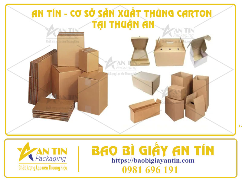 An Tâm Mua Thùng Carton Trực Tiếp Tại An Tín - Cơ Sở Sản Xuất Tại Thuận An