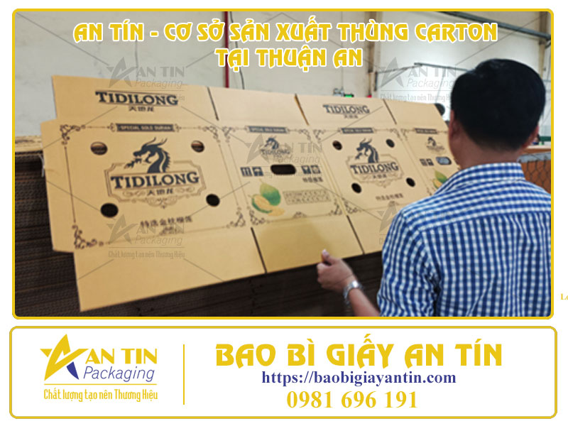 An Tâm Mua Thùng Carton Trực Tiếp Tại An Tín - Cơ Sở Sản Xuất Tại Thuận An