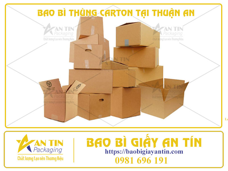 An Tâm Với Sự Chọn Lựa Hoàn Hảo - Bao Bì Thùng Carton Tại Thuận An