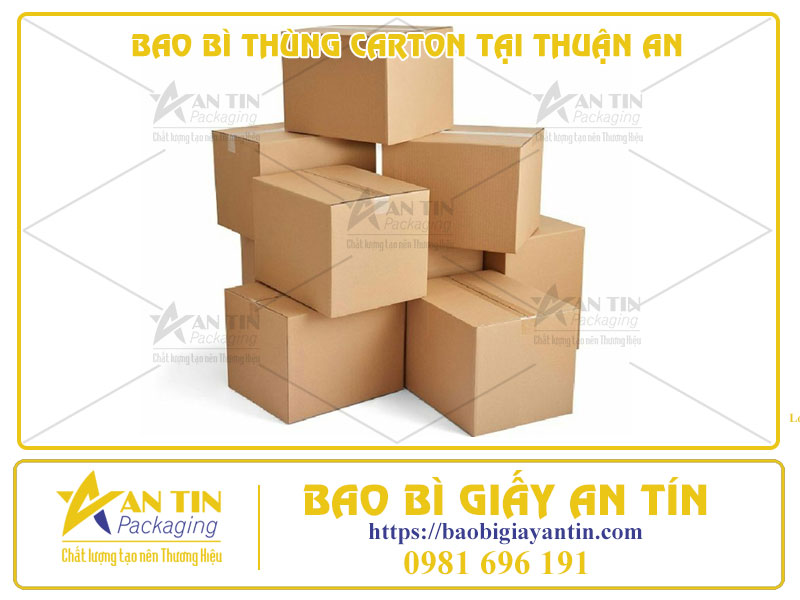 An Tâm Với Sự Chọn Lựa Hoàn Hảo - Bao Bì Thùng Carton Tại Thuận An