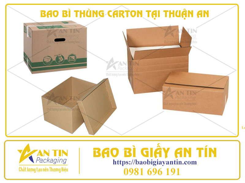 An Tâm Với Sự Chọn Lựa Hoàn Hảo - Bao Bì Thùng Carton Tại Thuận An