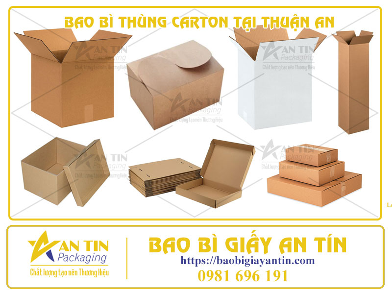 An Tâm Với Sự Chọn Lựa Hoàn Hảo - Bao Bì Thùng Carton Tại Thuận An