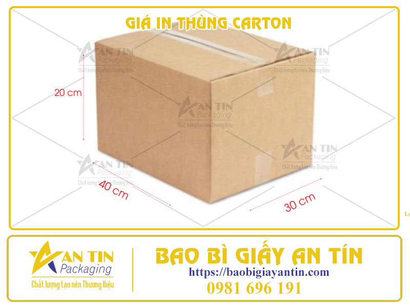 Bạn Cần Biết - Cách Tính Giá In Thùng Carton Chuẩn Nhất