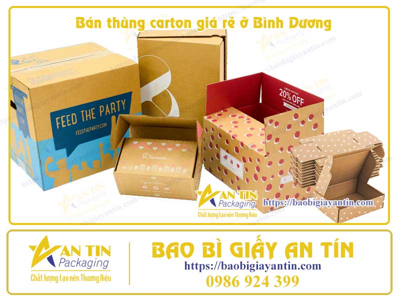 Thùng Carton Đa Dạng - Dịch Vụ Tận Tâm Tại Bình Dương: Đáp Ứng Mọi Nhu Cầu Đóng Gói Của Bạn