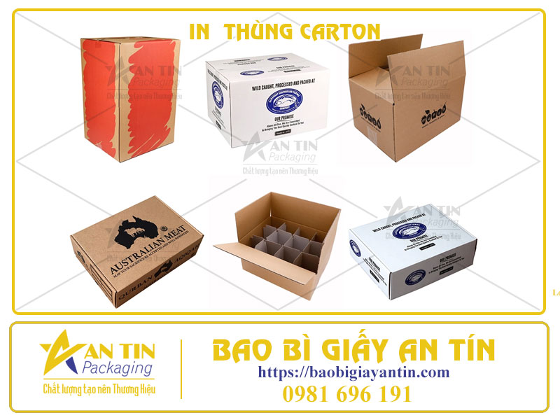 Bao Bì An Tín Nhà Cung Cấp Dịch Vụ In Thùng Carton Chất Lượng