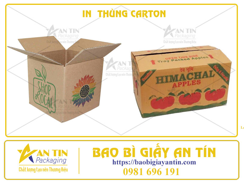 bao-bi-an-tin-nha-cung-cap-dich-vu-in-thung-carton-chat-luong