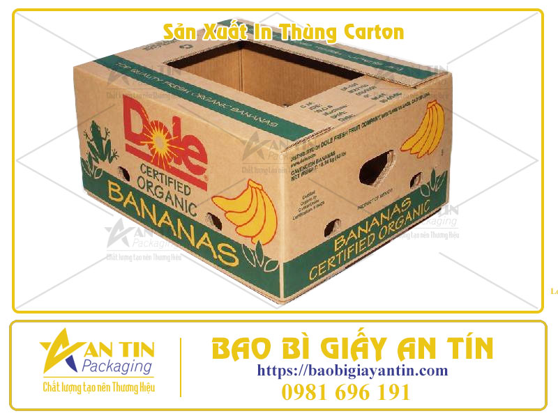 Bao Bì An Tín Sản Xuất In Thùng Carton Uy Tín