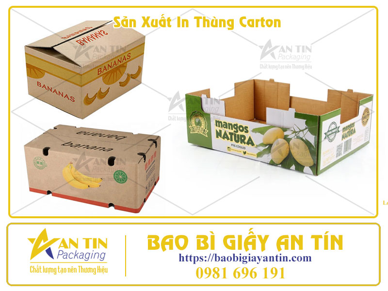 Bao Bì An Tín Sản Xuất In Thùng Carton Uy Tín
