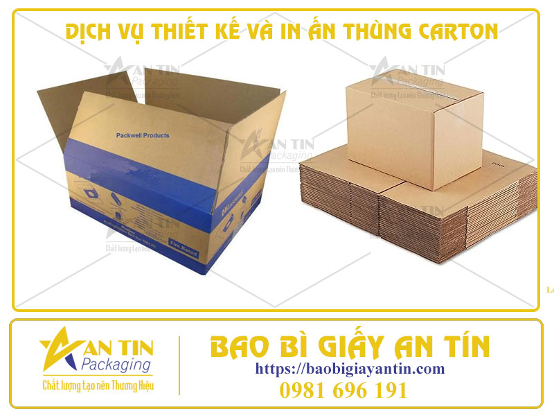 Bao Bì Chuyên Nghiệp: Dịch Vụ Thiết Kế Và In Ấn Thùng Carton Trọn Gói Cho Doanh Nghiệp Tại Thuận An