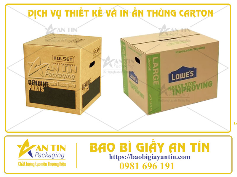 Bao Bì Chuyên Nghiệp: Dịch Vụ Thiết Kế Và In Ấn Thùng Carton Trọn Gói Cho Doanh Nghiệp Tại Thuận An