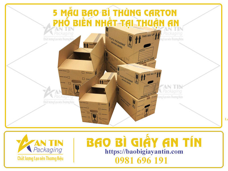 Bao Bì Giấy An Tín - Cung Cấp 5 Mẫu Bao Bì Thùng Carton Phổ Biến Nhất Tại Thuận An