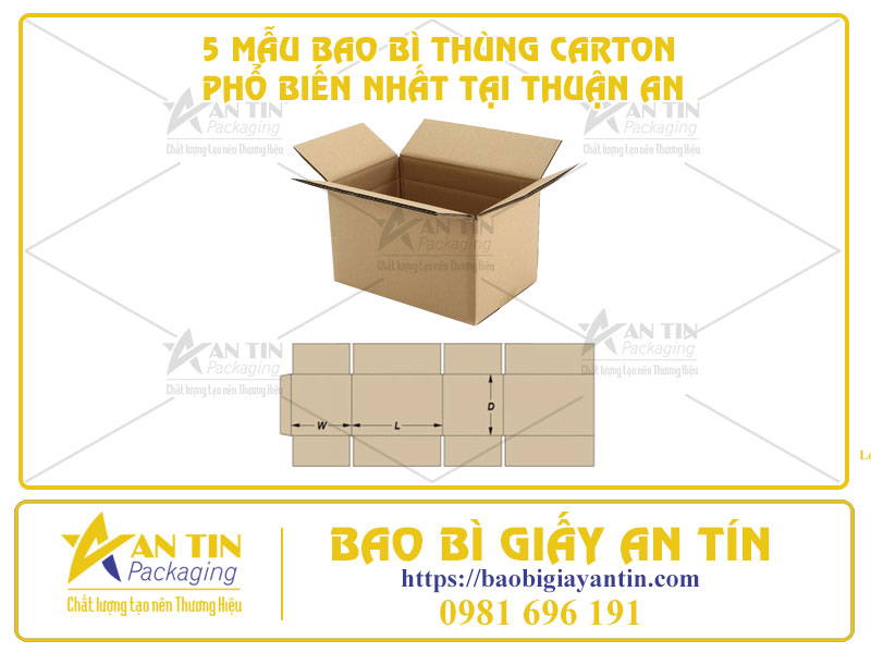 Bao Bì Giấy An Tín - Cung Cấp 5 Mẫu Bao Bì Thùng Carton Phổ Biến Nhất Tại Thuận An