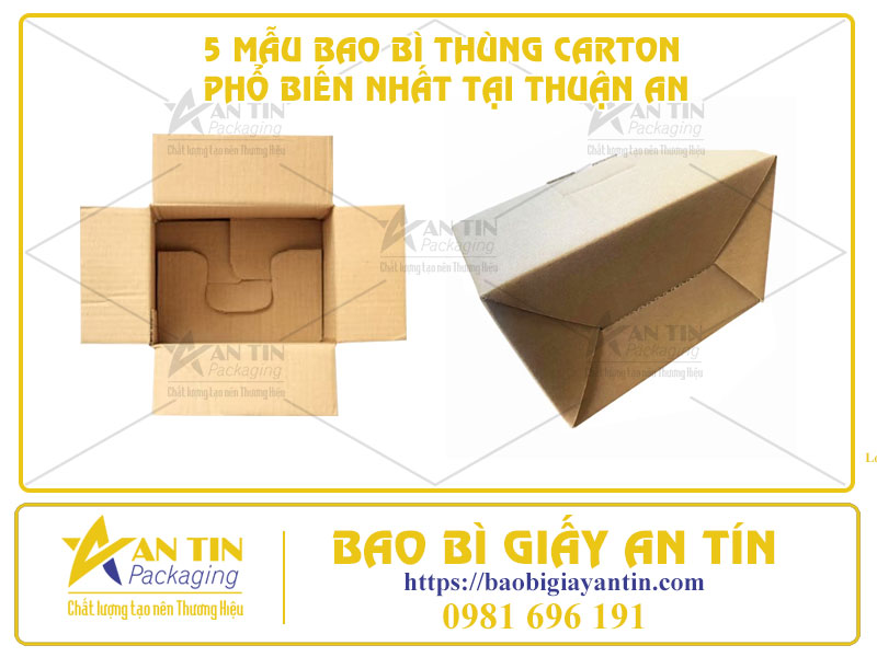 Bao Bì Giấy An Tín - Cung Cấp 5 Mẫu Bao Bì Thùng Carton Phổ Biến Nhất Tại Thuận An