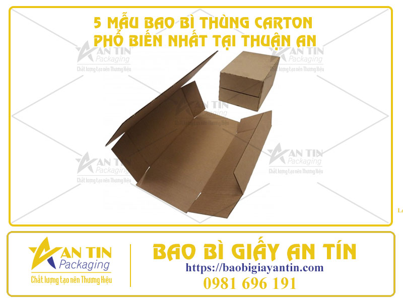 Bao Bì Giấy An Tín - Cung Cấp 5 Mẫu Bao Bì Thùng Carton Phổ Biến Nhất Tại Thuận An
