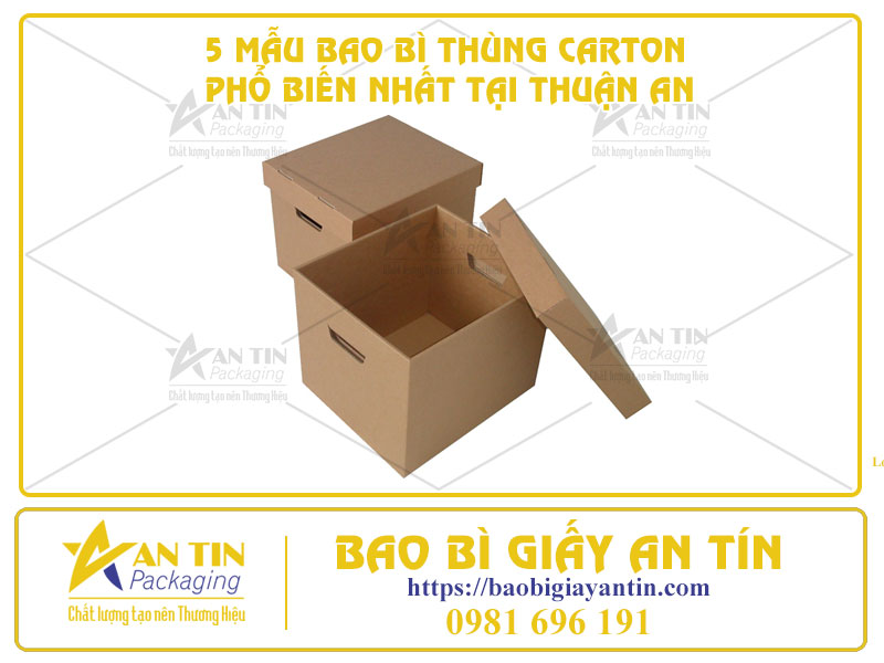 Bao Bì Giấy An Tín - Cung Cấp 5 Mẫu Bao Bì Thùng Carton Phổ Biến Nhất Tại Thuận An