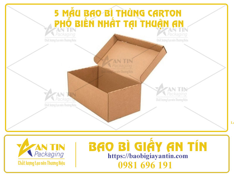 Bao Bì Giấy An Tín - Cung Cấp 5 Mẫu Bao Bì Thùng Carton Phổ Biến Nhất Tại Thuận An