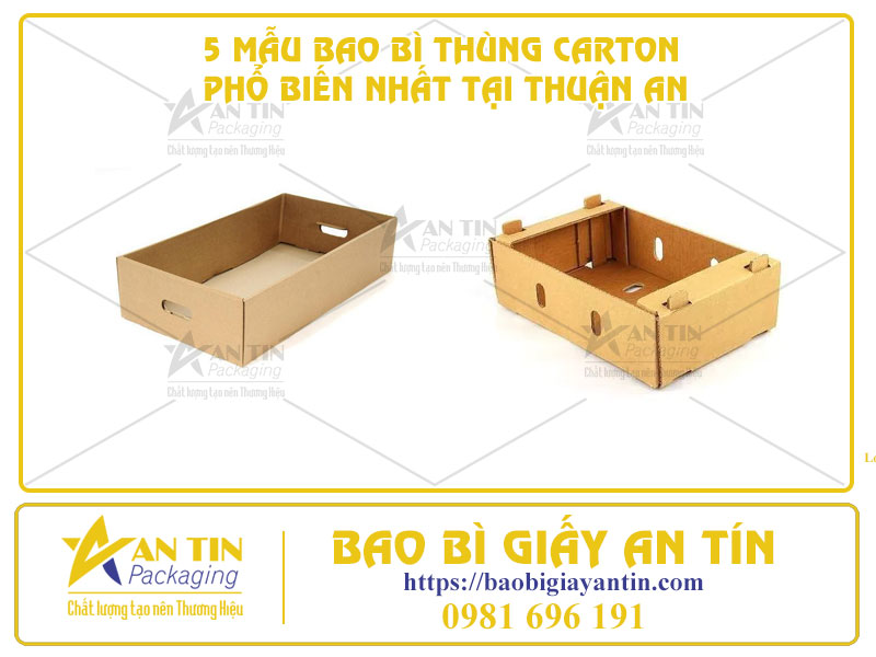 Bao Bì Giấy An Tín - Cung Cấp 5 Mẫu Bao Bì Thùng Carton Phổ Biến Nhất Tại Thuận An