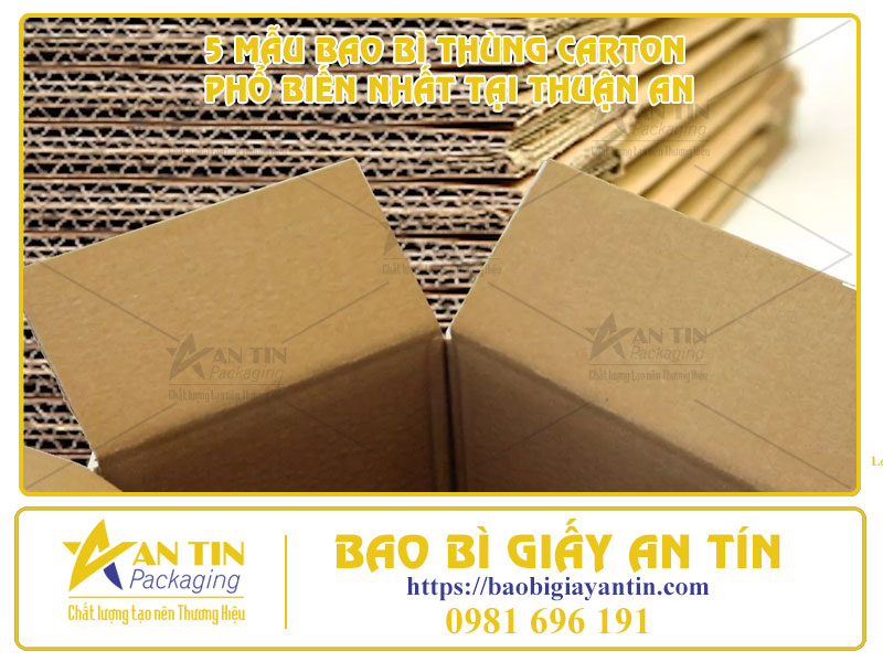 Bao Bì Giấy An Tín - Cung Cấp 5 Mẫu Bao Bì Thùng Carton Phổ Biến Nhất Tại Thuận An