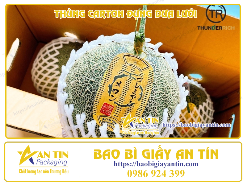 Bao bì giấy carton đóng gói dưa lưới Bao bì giấy carton đóng gói dưa lưới