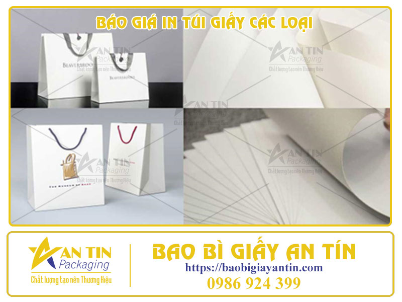Báo Giá In Túi Giấy Các Loại Theo Yêu Cầu Mới Nhất 2023