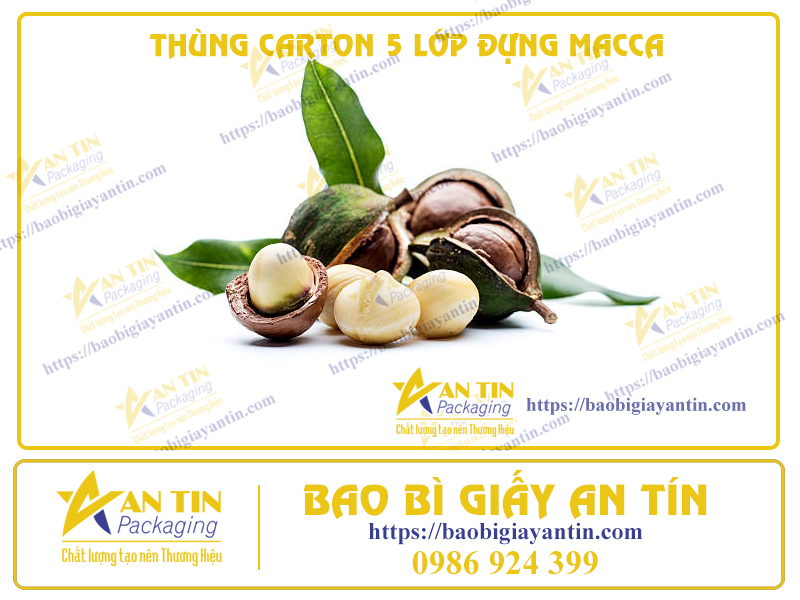 Bảo Quản Tối Ưu Với Thùng Carton 5 Lớp Đựng Macca Chuyên Dụng