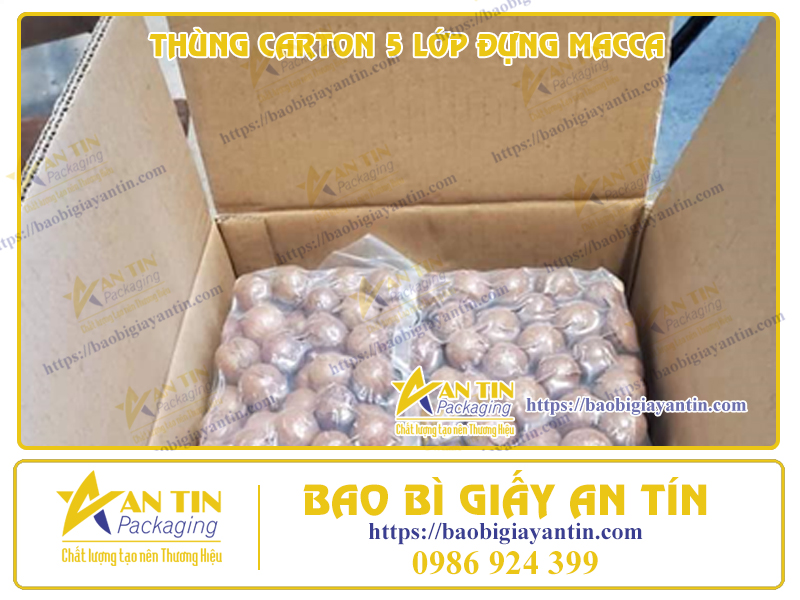 Bảo Quản Tối Ưu Với Thùng Carton 5 Lớp Đựng Macca Chuyên Dụng