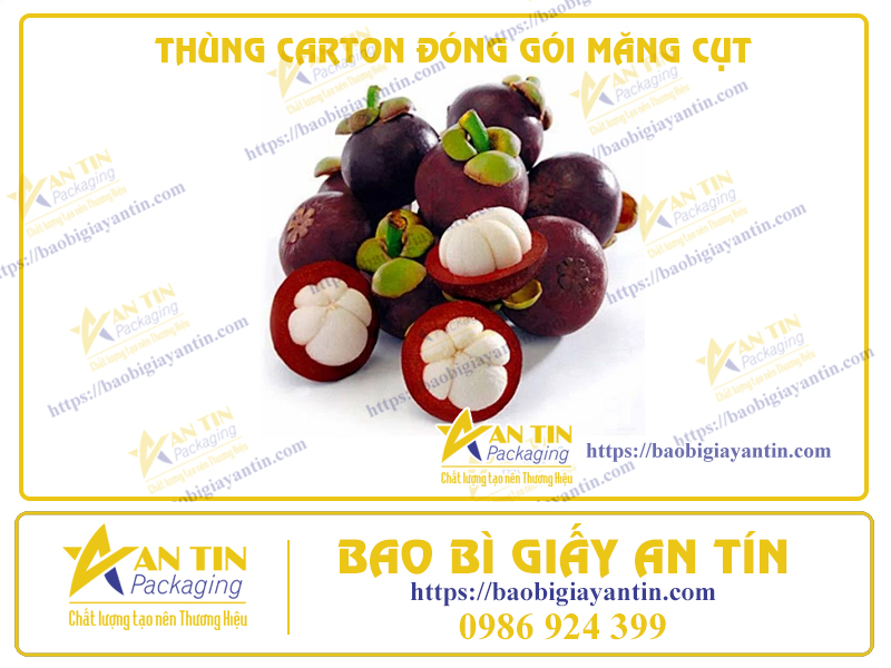 Bảo Vệ Tinh Hoa Tự Nhiên: Thùng Carton Đặc Biệt Đóng Gói Măng Cụt Tươi Ngon