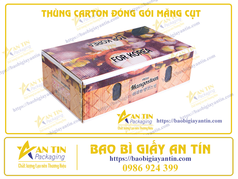 Bảo Vệ Tinh Hoa Tự Nhiên: Thùng Carton Đặc Biệt Đóng Gói Măng Cụt Tươi Ngon