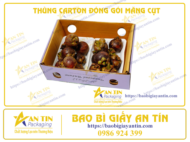 Bảo Vệ Tinh Hoa Tự Nhiên: Thùng Carton Đặc Biệt Đóng Gói Măng Cụt Tươi Ngon