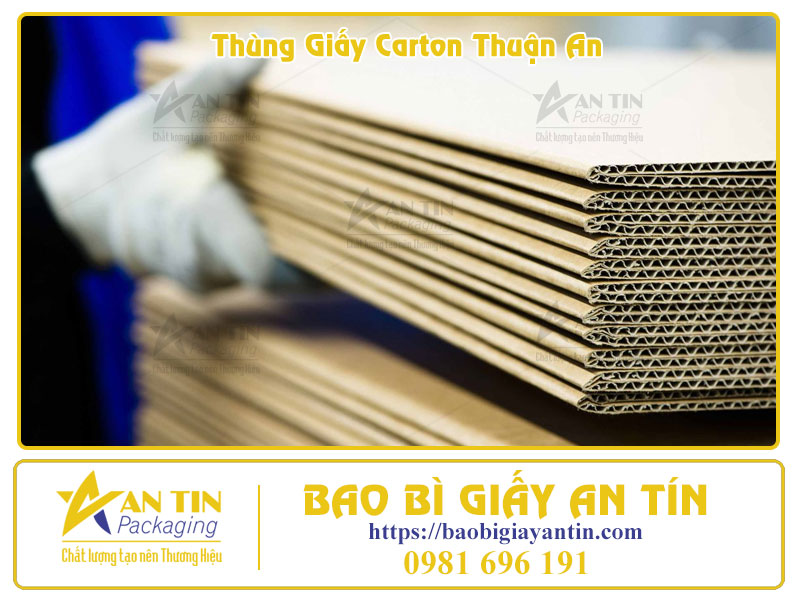 Bắt kịp xu hướng 2025 Nâng tầm thương hiệu với thùng carton tại Thuận An Bắt kịp xu hướng 2025 Nâng tầm thương hiệu với thùng carton tại Thuận An