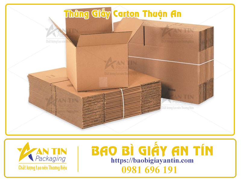 Bắt kịp xu hướng 2025 Nâng tầm thương hiệu với thùng carton tại Thuận An