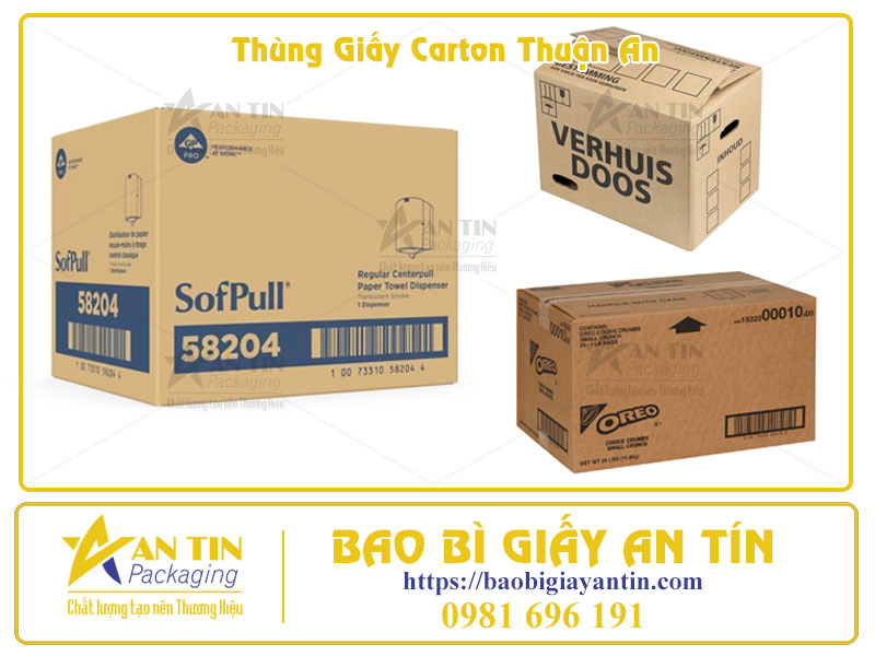 Bắt kịp xu hướng 2025 Nâng tầm thương hiệu với thùng carton tại Thuận An