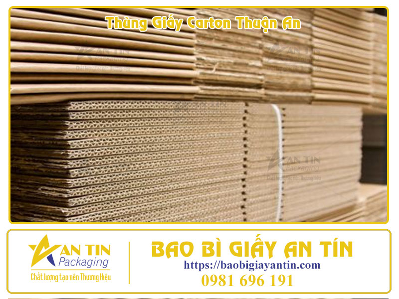 Bắt kịp xu hướng 2025 Nâng tầm thương hiệu với thùng carton tại Thuận An Bắt kịp xu hướng 2025 Nâng tầm thương hiệu với thùng carton tại Thuận An