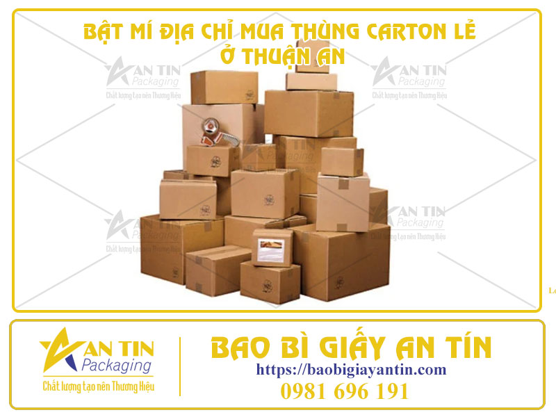 Bật Mí Địa Chỉ Mua Thùng Carton Lẻ Ở Thuận An Với Giá Cực Tốt