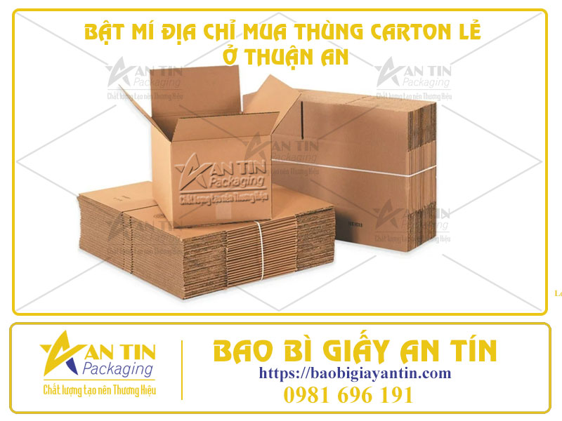 Bật Mí Địa Chỉ Mua Thùng Carton Lẻ Ở Thuận An Với Giá Cực Tốt