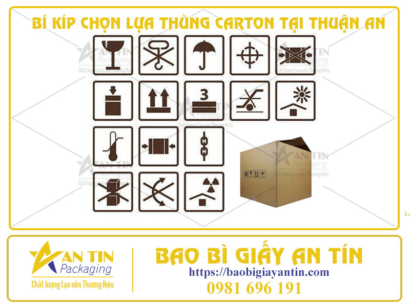 Bí Kíp Chọn Lựa Thùng Carton Tại Thuận An Theo Mục Đích Sử Dụng
