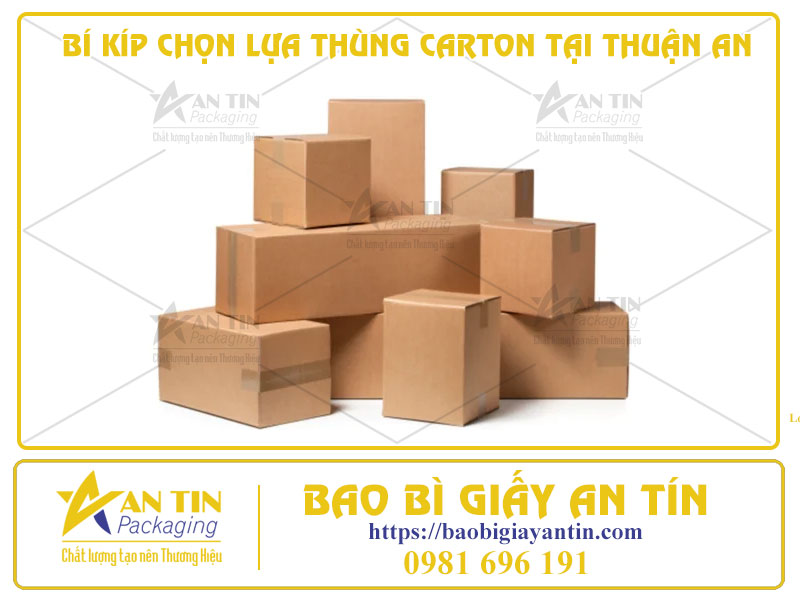 Bí Kíp Chọn Lựa Thùng Carton Tại Thuận An Theo Mục Đích Sử Dụng