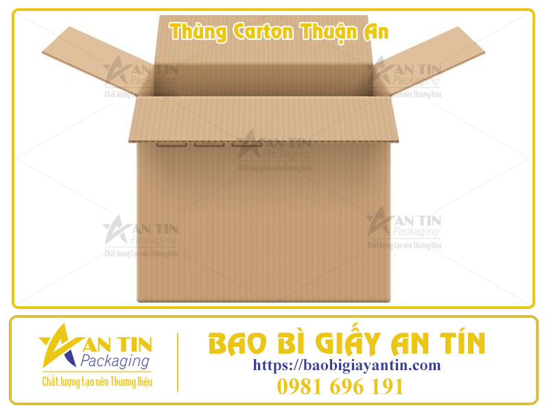 Bí Quyết Chọn Xưởng Thùng Carton Ở Thuận An 5 Tiêu Chí Vàng Để Không Tiền Mất Tật Mang Bí Quyết Chọn Xưởng Thùng Carton Ở Thuận An 5 Tiêu Chí Vàng Để Không Tiền Mất Tật Mang