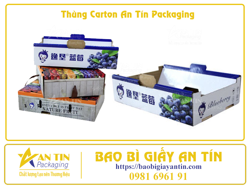 Bí Quyết Đóng Gói Trái Cây Trong Thùng Carton Để Giữ Nguyên Hương Vị Tươi Ngon Bí Quyết Đóng Gói Trái Cây Trong Thùng Carton Để Giữ Nguyên Hương Vị Tươi Ngon