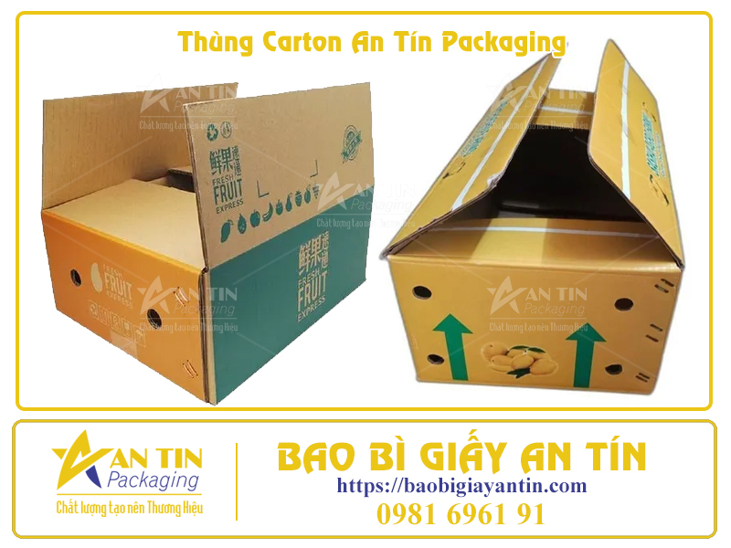 Bí Quyết Đóng Gói Trái Cây Trong Thùng Carton Để Giữ Nguyên Hương Vị Tươi Ngon Bí Quyết Đóng Gói Trái Cây Trong Thùng Carton Để Giữ Nguyên Hương Vị Tươi Ngon