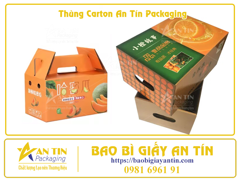 Bí Quyết Đóng Gói Trái Cây Trong Thùng Carton Để Giữ Nguyên Hương Vị Tươi Ngon Bí Quyết Đóng Gói Trái Cây Trong Thùng Carton Để Giữ Nguyên Hương Vị Tươi Ngon