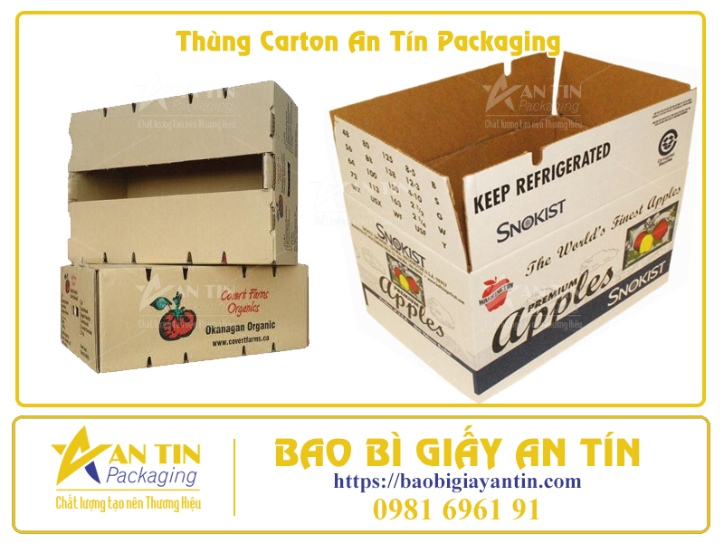 Bí Quyết Đóng Gói Trái Cây Trong Thùng Carton Để Giữ Nguyên Hương Vị Tươi Ngon Bí Quyết Đóng Gói Trái Cây Trong Thùng Carton Để Giữ Nguyên Hương Vị Tươi Ngon