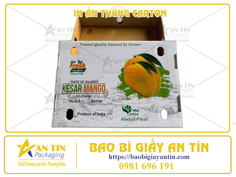 Bí Quyết In Thùng Carton Chất Lượng Cao - 4 Công Nghệ Đột Phá Đang Thịnh Hành