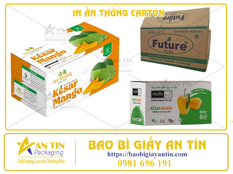Bí Quyết In Thùng Carton Chất Lượng Cao - 4 Công Nghệ Đột Phá Đang Thịnh Hành