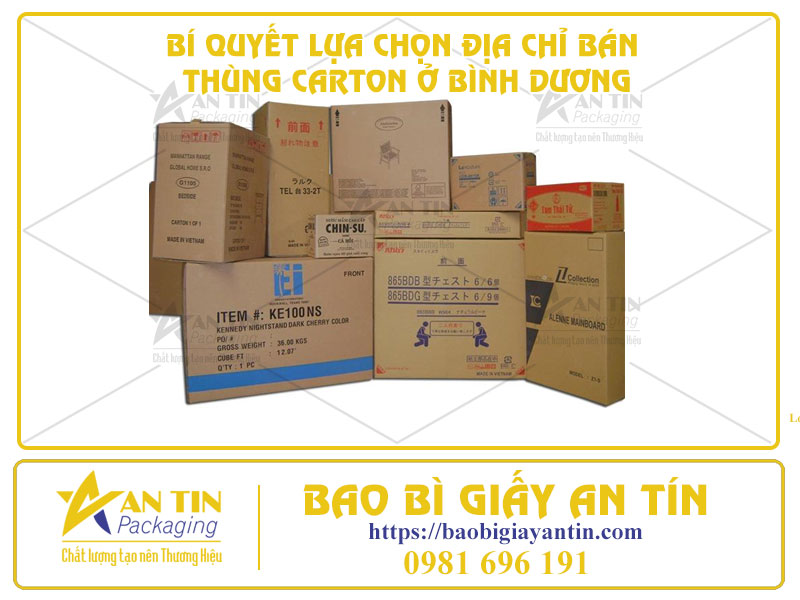 Bí Quyết Lựa Chọn Địa Chỉ Bán Thùng Carton Ở Bình Dương - Chất Lượng Và Tiết Kiệm