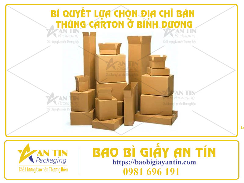 Bí Quyết Lựa Chọn Địa Chỉ Bán Thùng Carton Ở Bình Dương - Chất Lượng Và Tiết Kiệm